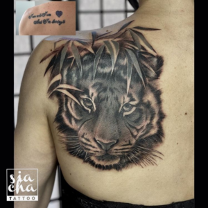 Cover33